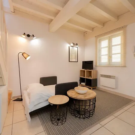 Апартаменты Beau Duplex Au Coeur Des Carmes *