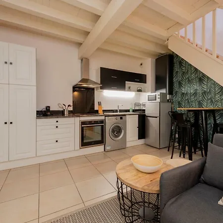 Beau Duplex Au Coeur Des Carmes *